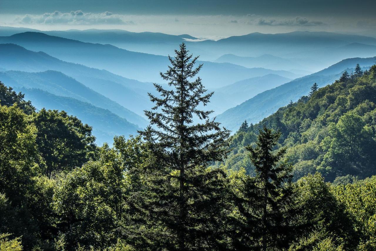 Lazy Bear Den Villa Sevierville Bagian luar foto