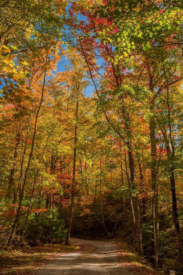Lazy Bear Den Villa Sevierville Bagian luar foto