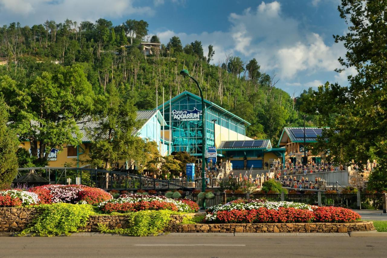 Lazy Bear Den Villa Sevierville Bagian luar foto